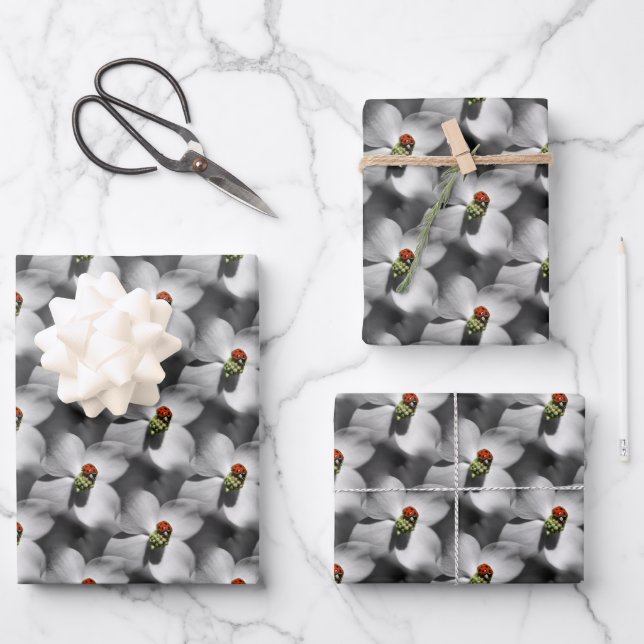 Feuille De Papier Cadeau Ladybug Sur Dogwood Flower Motif Nature  (Recto)
