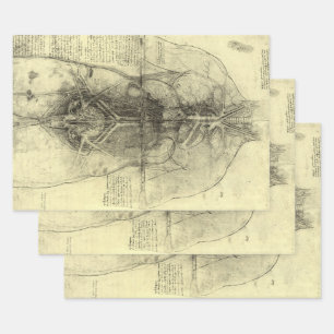 Feuille De Papier Cadeau L'anatomie humaine de Léonard de Vinci, Torse fémi
