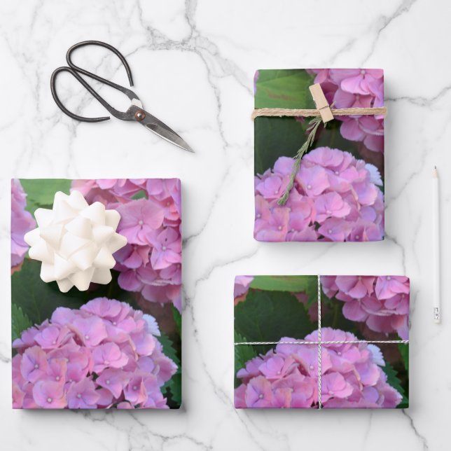 Feuille De Papier Cadeau Le buisson d'hortensia rose (Recto)