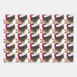 Feuille De Papier Cadeau Leonberger