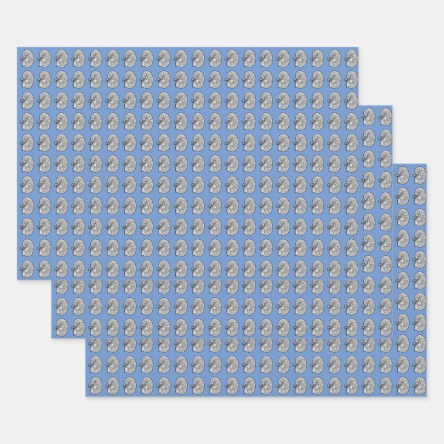 Feuille De Papier Cadeau Les reins, bleus, (Lot)