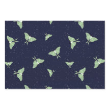 Luna Moths -