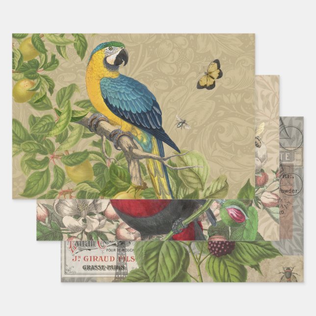Feuille De Papier Cadeau Macaw Blue Jaune Tropical Jungle Antique (Lot)