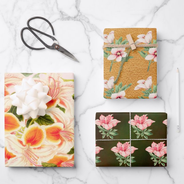 Feuille De Papier Cadeau Magnifique azalée, orange florale (Recto)