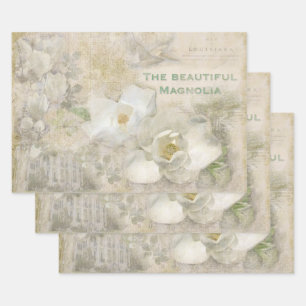 Feuille De Papier Cadeau Magnifique Magnolia Vintage Collage