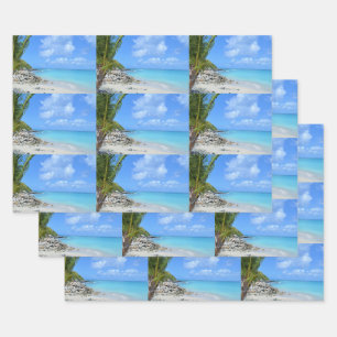 Feuille De Papier Cadeau Magnifique motif de plage tropicale turquoise
