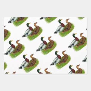 Feuille De Papier Cadeau Mallard Drake et Duck