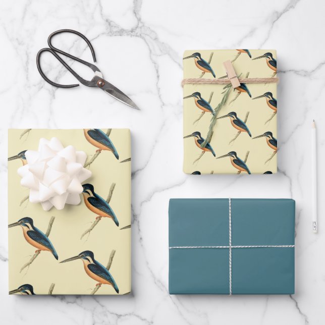 Feuille De Papier Cadeau Martin-pêcheur asiatique (Recto)