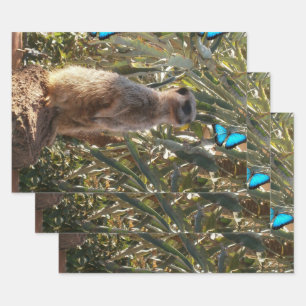 Feuille De Papier Cadeau Meerkat Et Papillons Bleus,