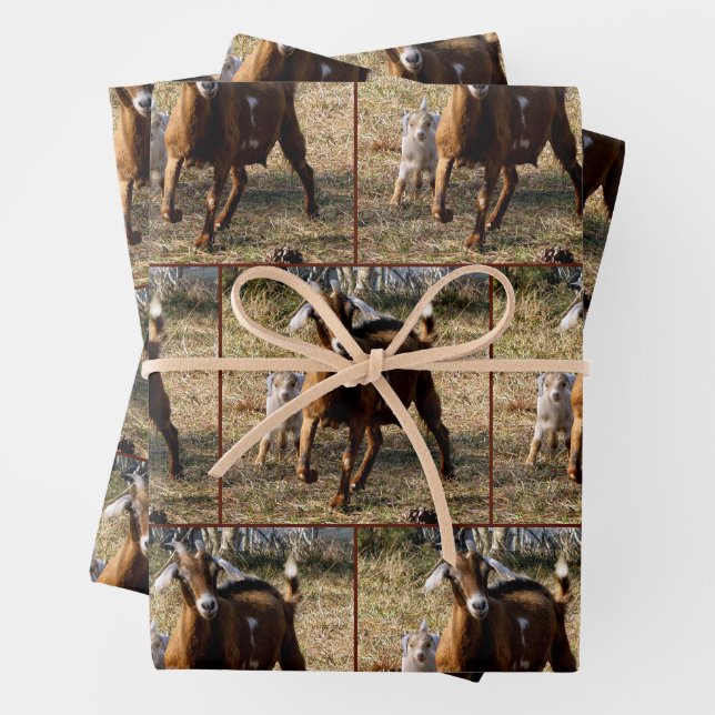 Feuille De Papier Cadeau Momma and Kid Goat - Petite impression (En situation)