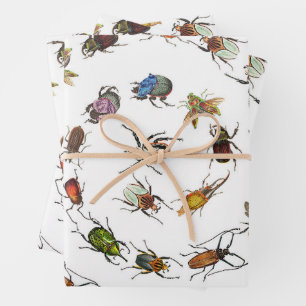Feuille De Papier Cadeau Motif coloré de bugs et de coléoptères Vintages
