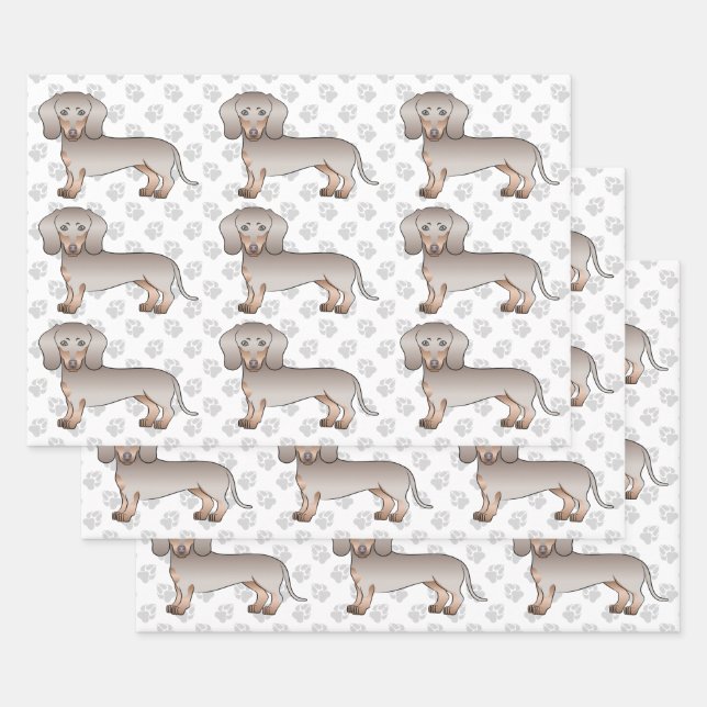 Feuille De Papier Cadeau Motif de chien Dachshund à poil lisse Isabella et  (Lot)