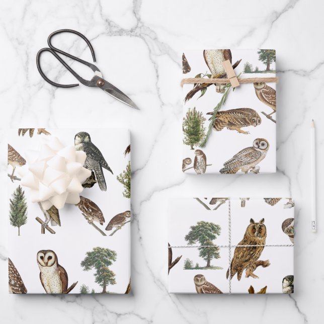 Feuille De Papier Cadeau Motif de forêt de l'aquarelle de la Chouette vinta (Recto)