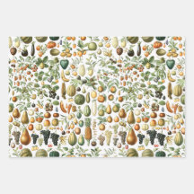 Motif de fruits de l'Adolphe Millot