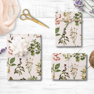Feuille De Papier Cadeau Motif de plante verte d'herbier vintage