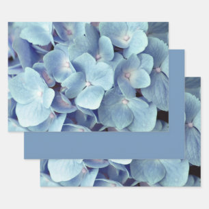 Feuille De Papier Cadeau Motif doux bleu Hydrangea