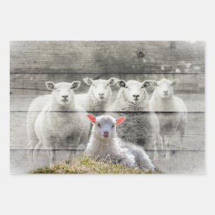 Feuille De Papier Cadeau Mouton d'agneau de bébé