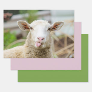 Feuille De Papier Cadeau Mouton montrer langue