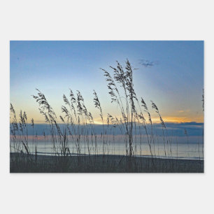 Feuille De Papier Cadeau Myrtle Beach Grass Sunrise Photo