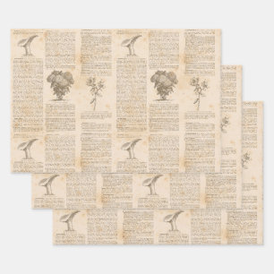 Feuille De Papier Cadeau Newsprint botanique vintage