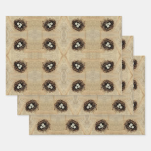 Feuille De Papier Cadeau Nid d'oiseaux Vieux Oeufs Brown d'antiquités Vinta
