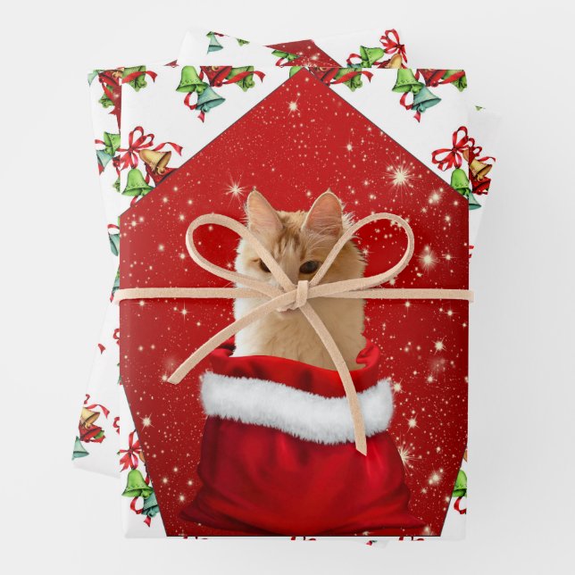 Feuille De Papier Cadeau Noël à Angora Cat (En situation)
