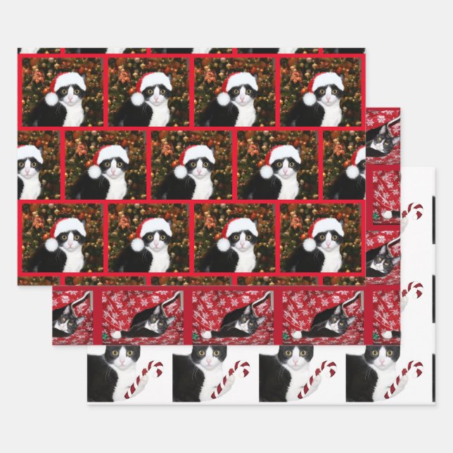 Feuille De Papier Cadeau Noël au chat de Tuxedo (Lot)