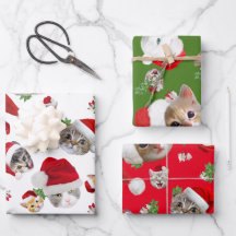 Noël de chat et souris