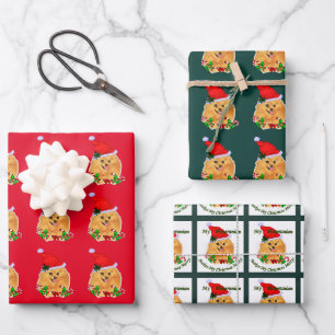 Feuille De Papier Cadeau Noël Poméranien de Cute Père Noël