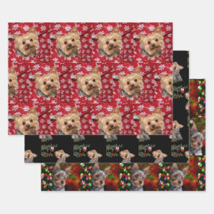 Feuille De Papier Cadeau Noël Yorkie