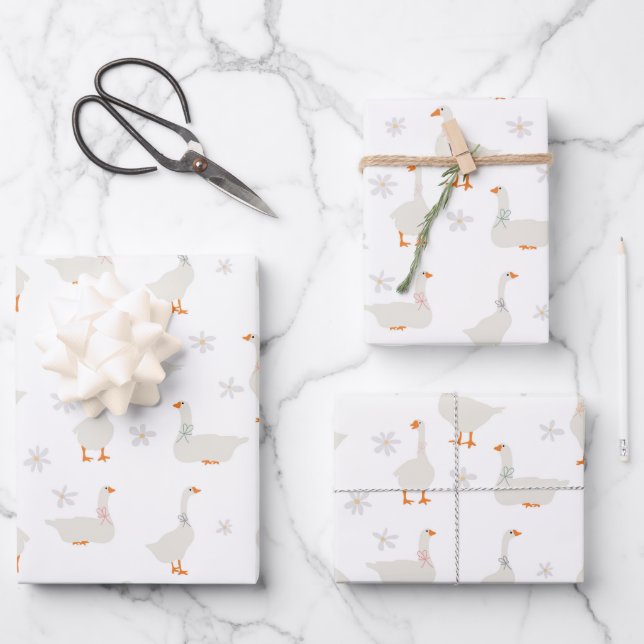 Feuille De Papier Cadeau Oie et marguerites à main mignonne (Recto)
