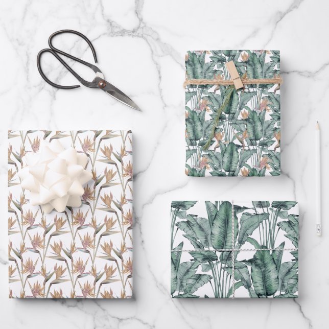 Feuille De Papier Cadeau Oiseau de paradis tropical de Monstera  (Recto)