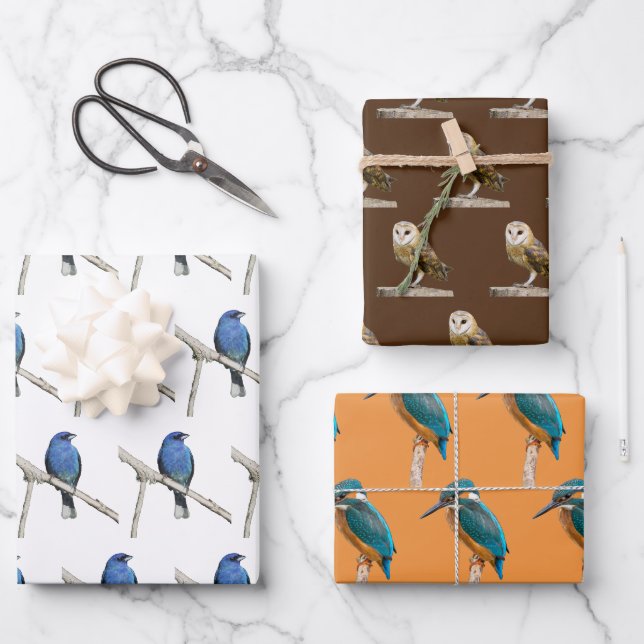 Feuille De Papier Cadeau Oiseaux sauvages (Recto)