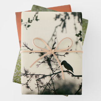 Feuille De Papier Cadeau Oiseaux Tropicaux