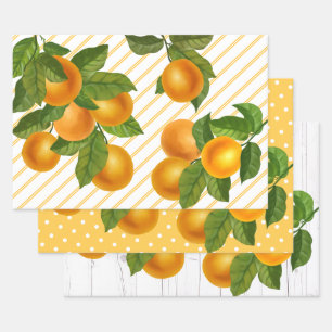 Feuille De Papier Cadeau Oranges d'agrumes frais rustique aquarelle de pays