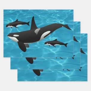 Feuille De Papier Cadeau Orca Whales