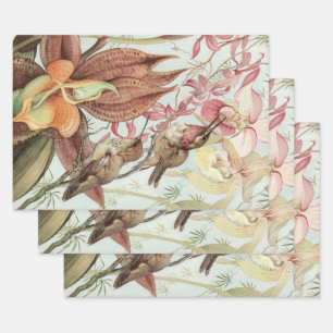 Feuille De Papier Cadeau Orchidées tropicales vintages, Fleurs et Colibris