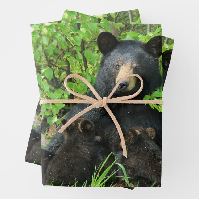 Feuille De Papier Cadeau Ours noir et cubes jumeaux (En situation)