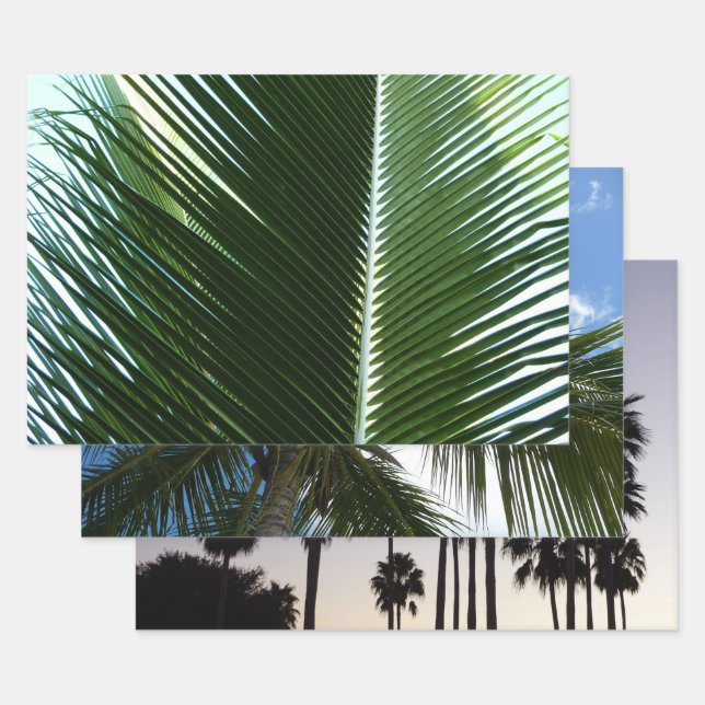 Feuille De Papier Cadeau Overlapping Palm Fronds Tropical Green Abstract (Lot)