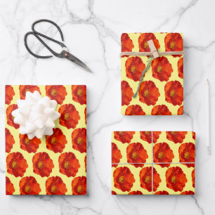 Feuille De Papier Cadeau Pavot rouge de l'Alaska Fleur colorée