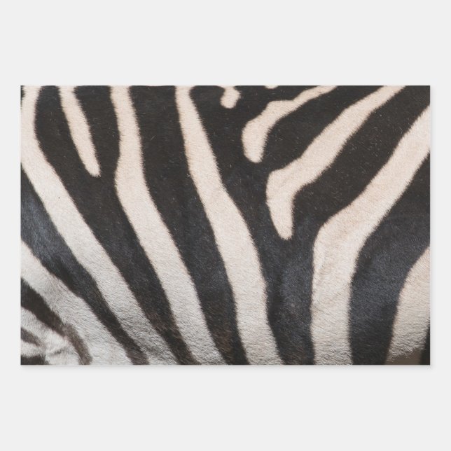 FEUILLE DE PAPIER CADEAU PEAU DE ZEBRA (Devant)
