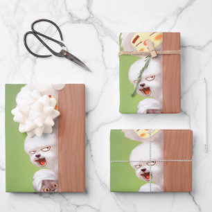 Feuille De Papier Cadeau Pékin Animaux Trio