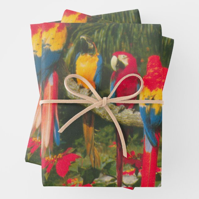 Feuille De Papier Cadeau Perroquets et Poinsettias (En situation)