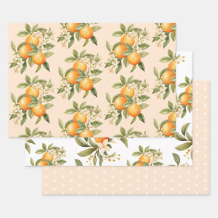 Feuille De Papier Cadeau Petite cutie agrumes thème anniversaire