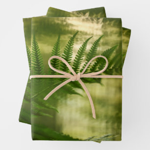 Feuille De Papier Cadeau Photo de Fern Nature