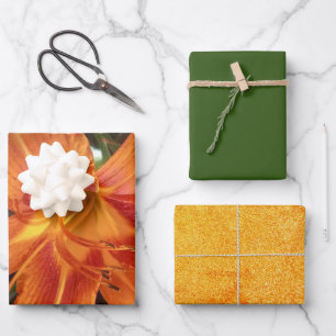 Feuille De Papier Cadeau Photo de fleur de lys orange avec paillettes verte