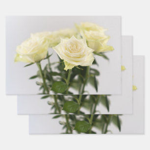 Feuille De Papier Cadeau Photographie de fleurs élégantes de roses blanches