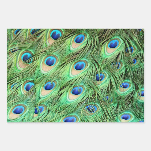 Feuille De Papier Cadeau Pic Exotique Vibrant (Devant)