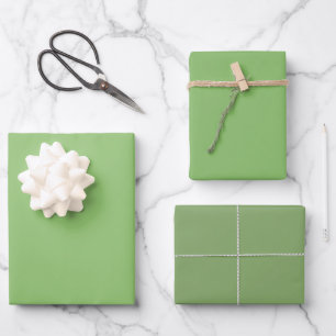 Feuille De Papier Cadeau Pistache Plaine Asperges Vert Tons 3