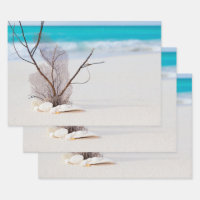 Plage de sable avec coquillages blancs